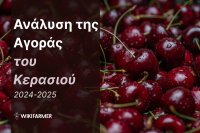 Ανάλυση της Αγοράς του Κερασιού: Μελέτη των τιμών 2024–2025