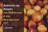 Ανάλυση της αγοράς των ροδάκινων και των νεκραρινιών: Μελέτη των τιμών 2025