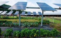 Agrivoltaics: Harnessing Solar Energy for Sustainable Agriculture and Climate Resilience
