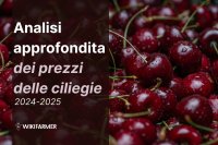 Analisi approfondita del mercato delle ciliegie: studio completo dei prezzi 2024–2025