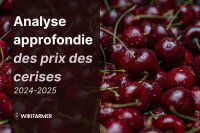 Analyse approfondie du marché des cerises : étude complète des prix 2024–2025