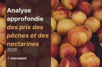 Analyse approfondie des prix des pêches et des nectarines : étude complète des prix - 2025