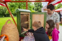 Bees Guardians of Life on Earth – Education, Biodiversity, and Environmental Health Bees: Guardians of Life on Earth – Education, Biodiversity, and Environmental Health