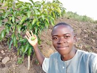 Birthday Tree Cake: Celebrating Birthdays with Tree Planting for Food Security and Environmental Conservation