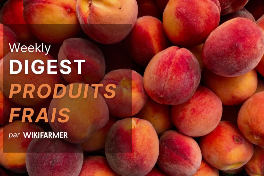 Bulletin sur le marché des produits frais - Semaine 29/2025