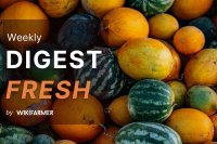 Fresh Market Digest w27/2025