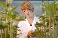 Genetic Engineering in Agriculture: Benefits, Challenges, and the Future of Food Security