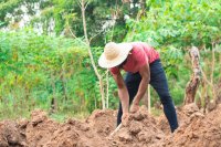 How Agriculture Can Tackle Poverty in Nigeria: Opportunities, Challenges, and Solutions