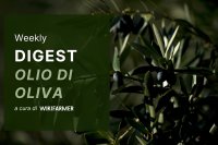 Il Mercato dell' Olio d' Oliva w27/2025