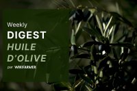 Le marché de l'huile d'olive - semaine 28/2025
