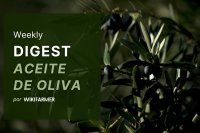 Mercado del Aceite de Oliva w27/2025