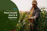 Plant Protection Alerts: Spain – late May 2025