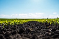 Microbial Soil Inoculants: Regenerating Agriculture Through Microbiome Management