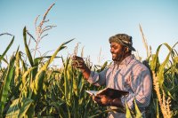 Regenerative Agriculture in Africa: Restoring Land and Securing Livelihoods