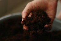 Soil Health and Soil Biota: Building Resilient Ecosystems for Sustainable Agriculture