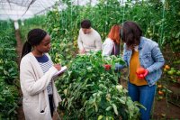 Sustainable Agriculture and Food Systems Ensuring Food Security and Environmental Protection Sustainable Agriculture and Food Systems: Ensuring Food Security and Environmental Protection