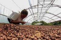 The Real Cost of Food: Understanding Environmental Impact and Sustainable Solutions