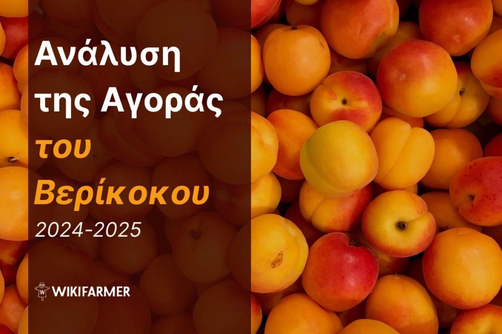 Ανάλυση της αγοράς του Βερίκοκου: Μελέτη των τιμών 2024-2025