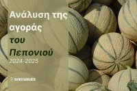 Ανάλυση τιμών της παγκόσμιας αγοράς πεπονιού: Πλήρης μελέτη τιμών 2024-2025