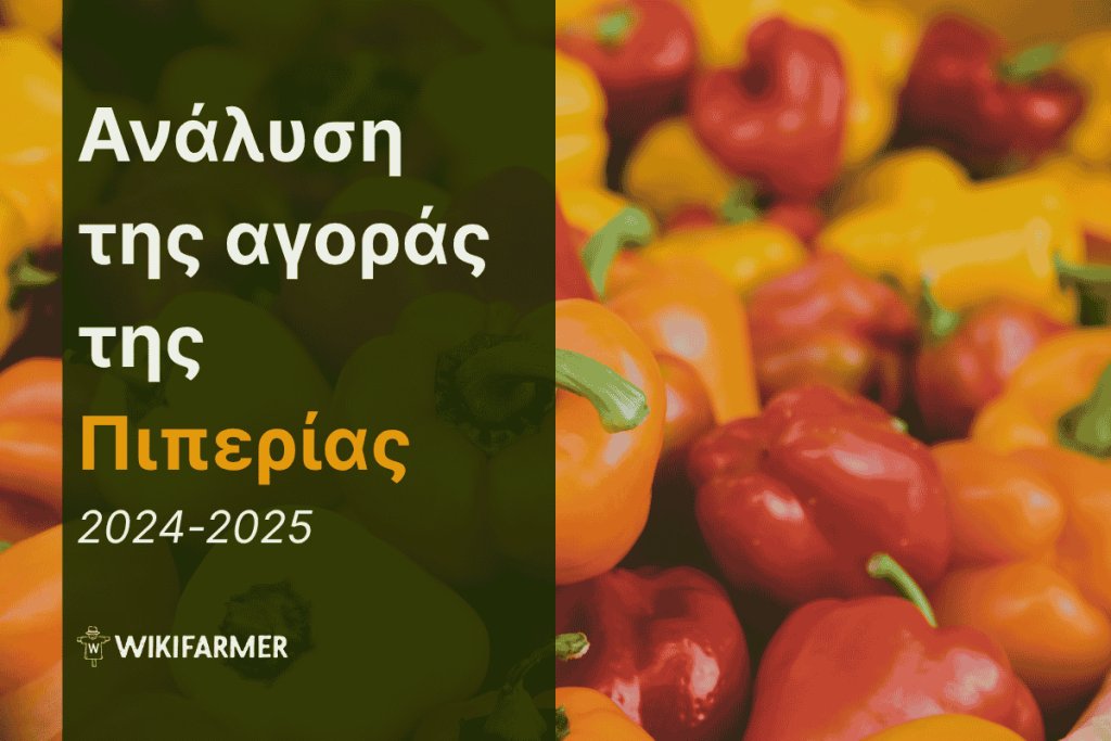 Ανάλυση τιμών της παγκόσμιας αγοράς πιπεριάς 2024-2025