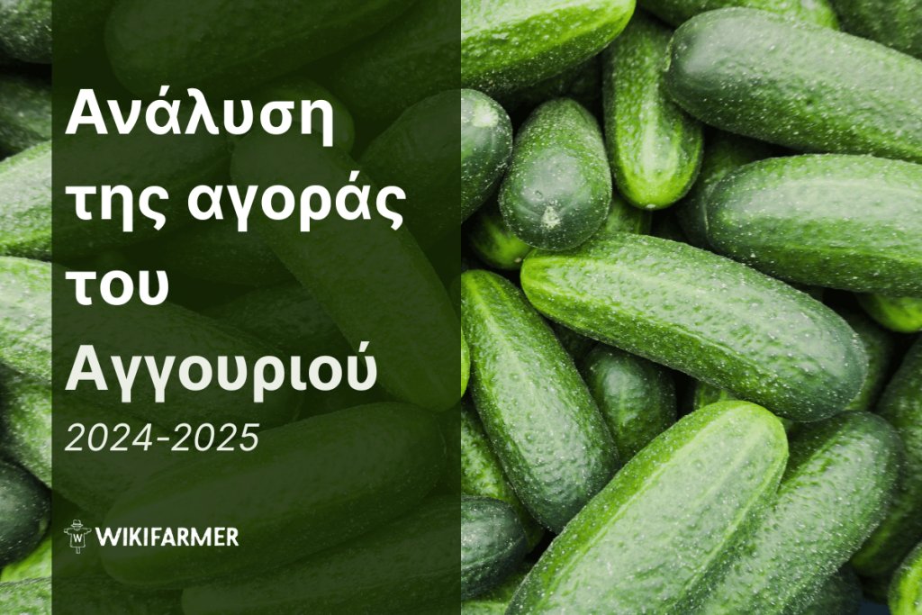 Ανάλυση τιμών της παγκόσμιας αγοράς του αγγουριού 2024/2025