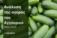 Ανάλυση τιμών της παγκόσμιας αγοράς του αγγουριού 2024/2025
