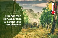 Θερινές λιπάνσεις και φυτοπροστασία σε υψηλές θερμοκρασίες και απαραίτητες στρατηγικές για τους αγρότες