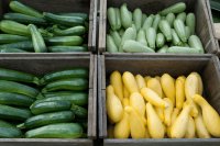 3 common reasons zucchinis are rejected: A practical guide for farmers and buyers