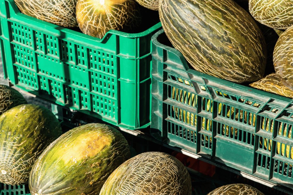 3 common reasons melons are rejected