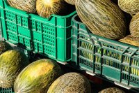 3 common reasons melons are rejected