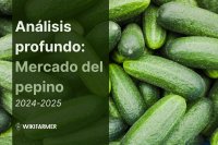 Análisis profundo: Mercado global del pepino 2024/2025