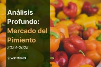 Análisis en Profundidad: El Mercado Global del Pimiento 2024–2025