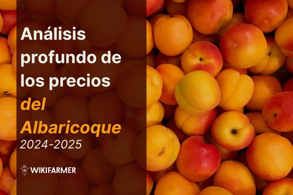 Estudio Exhaustivo sobre los Precios del Albaricoque: Análisis Completo 2024-2025