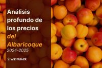 Estudio Exhaustivo sobre los Precios del Albaricoque: Análisis Completo 2024-2025