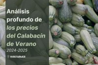 Análisis Profundo de los Precios del Calabacín de Verano: Estudio Completo de Precios 2025