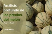 Análisis profundo de los precios del melón: Estudio completo de precios 2024/25