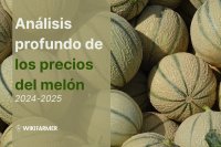 Análisis profundo de los precios del melón: Estudio completo de precios 2024/25