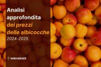Analisi approfondita dei prezzi delle albicocche: studio completo dei prezzi - 2024-2025