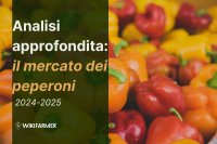 Analisi approfondita: il mercato mondiale dei peperoni