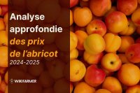 Analyse approfondie des prix de l’abricot : étude complète des prix 2025
