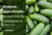 Analyse approfondie : le marché mondial du concombre 2024/2025