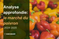 Analyse approfondie : le marché mondial du poivron