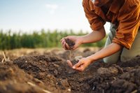 Are soil carbon credits a viable financing strategy for my farm operation?