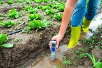 Battling soil acidity: Simple solutions for better yields