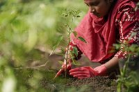 Buddhism: The Roots of the Nature Farming System in Sri Lanka