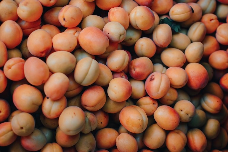 Comment conserver les abricots