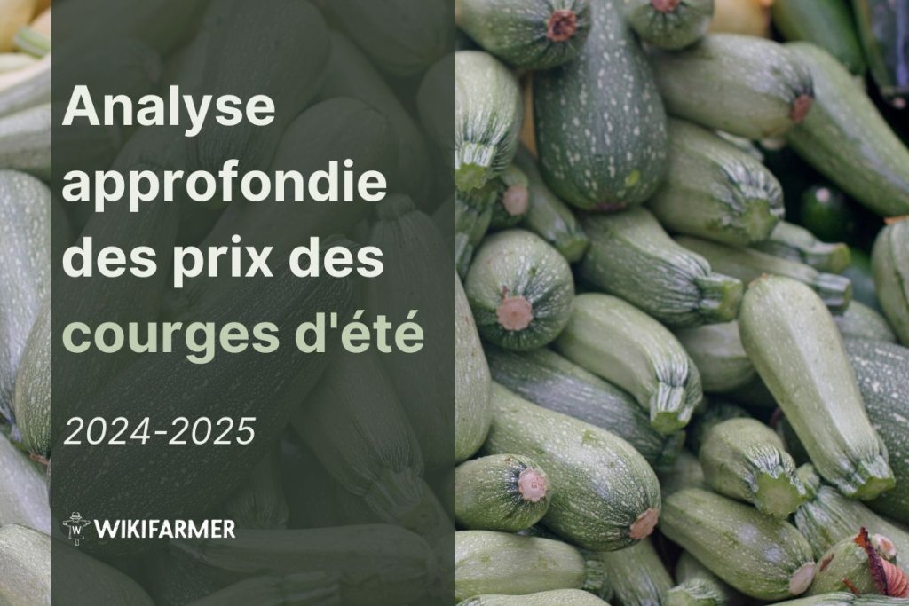 Analyse approfondie des prix des courges d'été: étude complète des prix 2024-2025