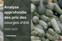 Analyse approfondie des prix des courges d'été: étude complète des prix 2024-2025