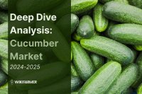 Deep Dive Analysis: Global Cucumber Market 2024/2025