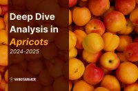 Deep Dive in Apricot Prices: A Complete Price Study 2025